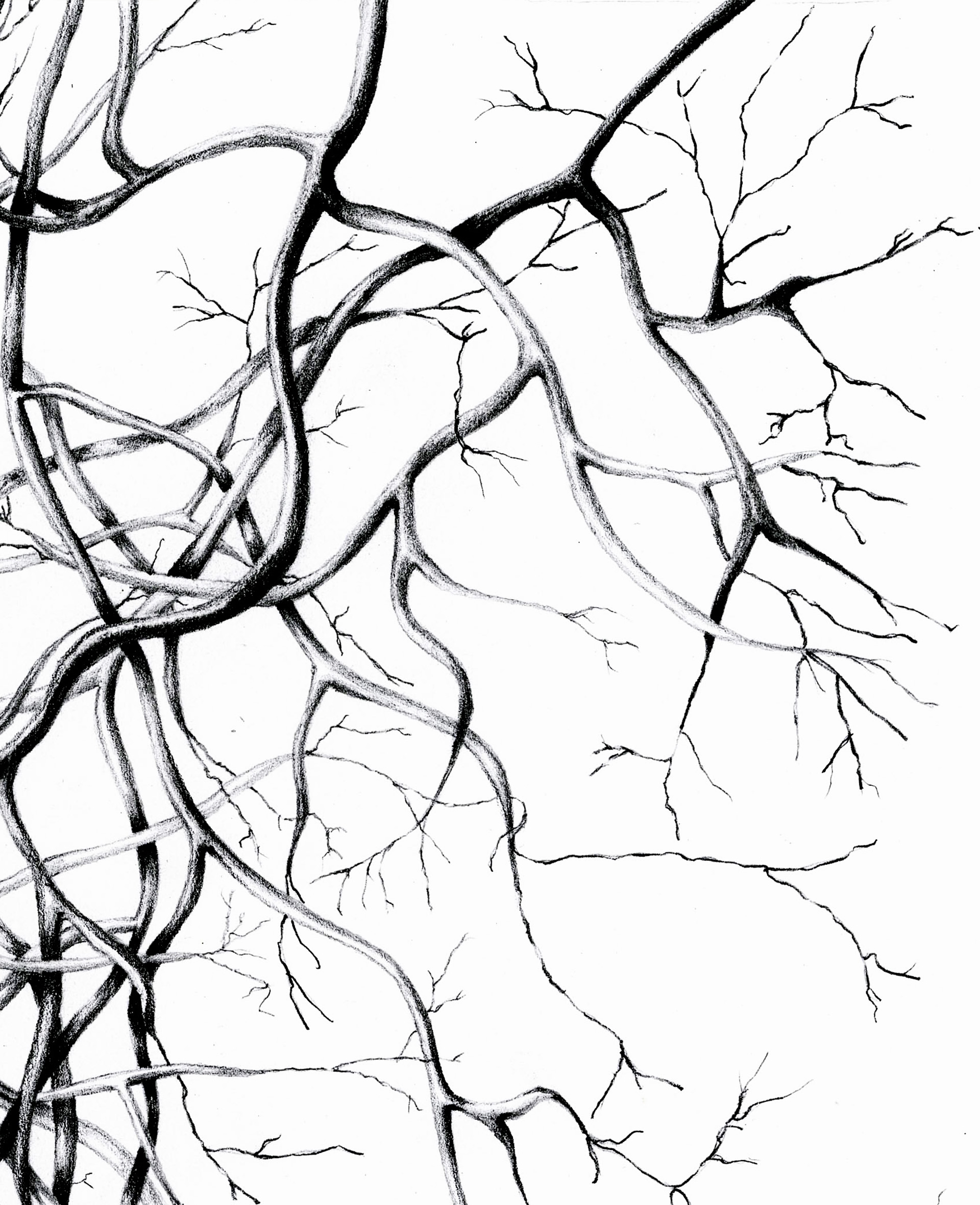 Kind thoughts are the roots