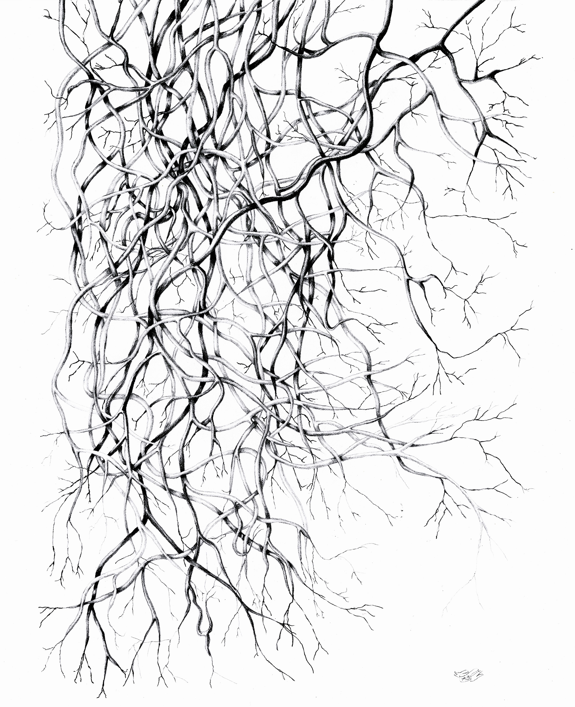 Kind thoughts are the roots